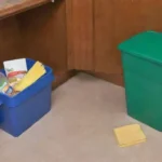 Qué medidas de higiene son necesarias con roedores en casa