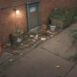 Cómo han cambiado las poblaciones de roedores salvajes en la ciudad