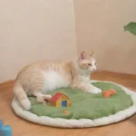 Son los ratones y ratas mascotas adecuadas para principiantes