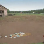 Cuál es el impacto de los roedores en la economía rural y urbana