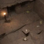 Qué características tienen los roedores que los hacen plagas difíciles