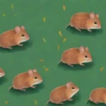 Qué papel juegan las patas de los roedores en su movilidad