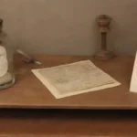 Cómo están documentados los hallazgos de roedores en museos