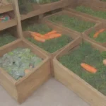 Dónde comprar comida adecuada para tu conejo doméstico