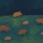 qué tipo de dieta siguen los roedores que son nocturnos