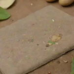 Qué revelan los dientes fosilizados sobre la alimentación de roedores