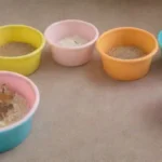 Cómo identificar a tu hámster de distintas razas y colores