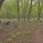 Cómo contribuyen las comunidades locales a la conservación de roedores