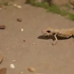 Cómo la extinción de roedores fósiles afecta nuestra biología actual