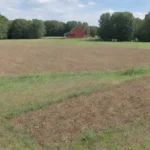 Cómo los agricultores pueden monitorear la actividad de roedores